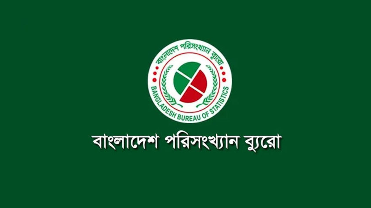 দেশের মানুষের মাথাপিছু আয় কমেছে